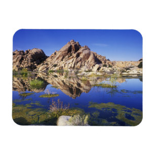 Ímã EUA, California, Joshua Tree National Park,