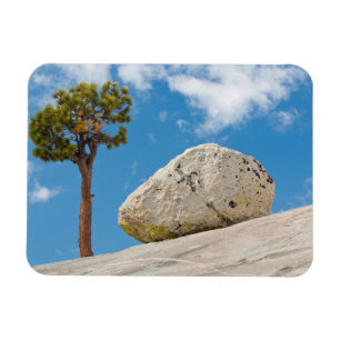 Ímã EUA, Califórnia, Parque Nacional de Yosemite. Pinh