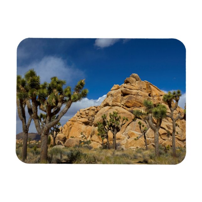 Ímã EUA, Califórnia, Parque Nacional Joshua Tree (Horizontal)