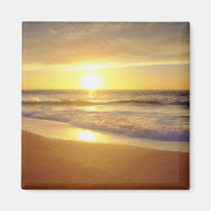 Imã EUA, Califórnia, San Diego. La Jolla Shores