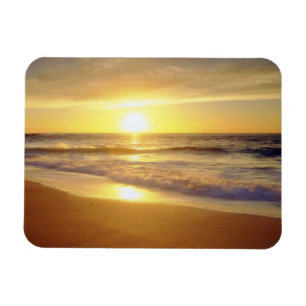 Ímã EUA, Califórnia, San Diego. La Jolla Shores