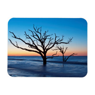 Ímã EUA, Carolina do Sul, Edisto Island, Botany Bay