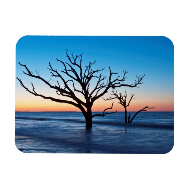 Ímã EUA, Carolina do Sul, Edisto Island, Botany Bay (Horizontal)