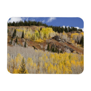 Ímã EUA, Colorado, Floresta Nacional de Gunnison, ao l