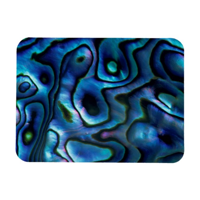 Ímã EUA, Colorado, Lafayette. Abalone shell (Horizontal)