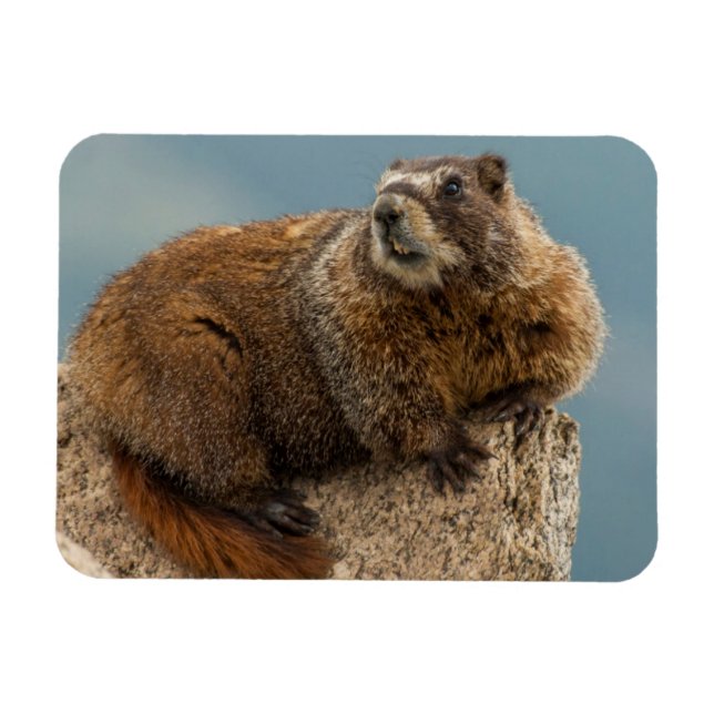 Ímã EUA, Colorado, San Juan Mountain 2 (Horizontal)