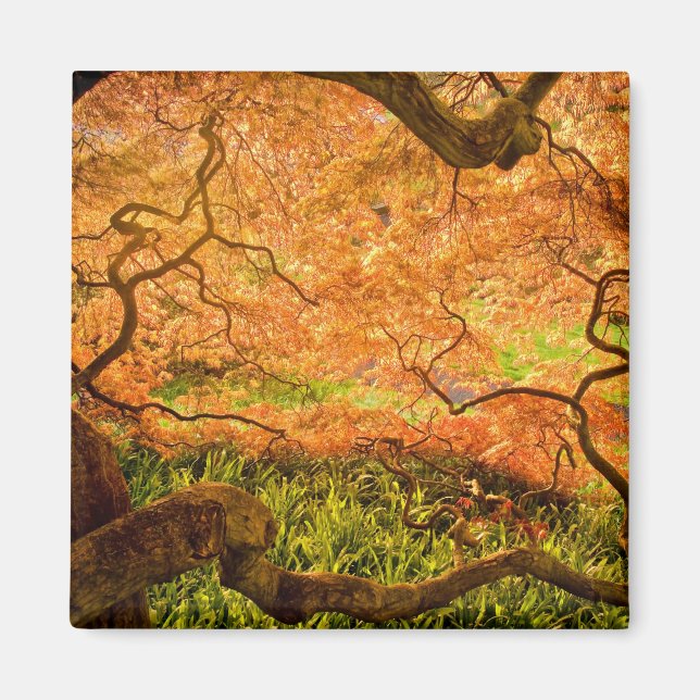 Imã EUA, Delaware, Wilmington. Mapa japonês (Frente)