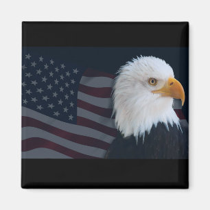 Imã EUA Eagle