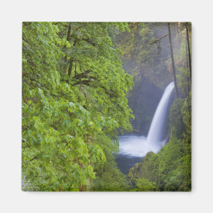 Imã EUA, Eagle Creek, Columbia Gorge, Oregon. 2