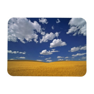 Ímã EUA, Estado de Washington, Colfax. Reúne cevada