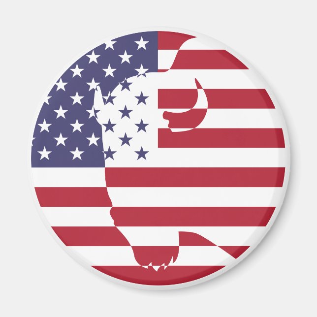 Imã EUA Estados Unidos Buffalo Bison Americano (Frente)