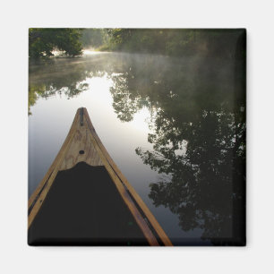 Imã EUA, Flórida, Ocala National Forest, Alexander