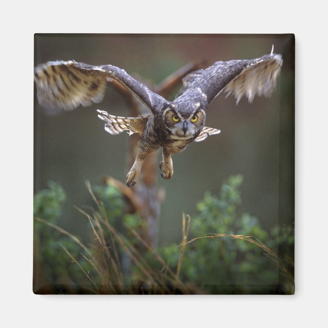 Imã EUA, Geórgia, Pine Mountain, Jardins Callaway. (Frente)