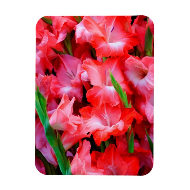 Ímã EUA, Geórgia, Savannah, Buquê de Gladiolus (Vertical)