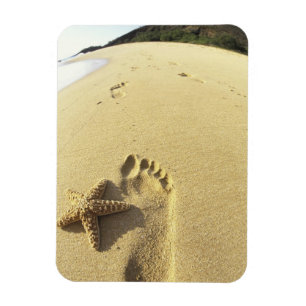 Ímã EUA, Havaí, Maui, Praia de Makena, Pegada e