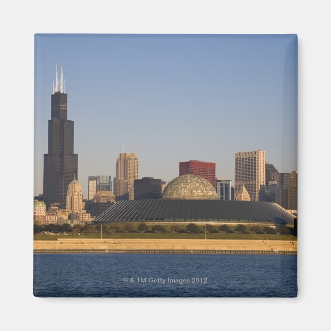 Imã EUA, Illinois, Chicago, linha do horizonte da cida (Frente)