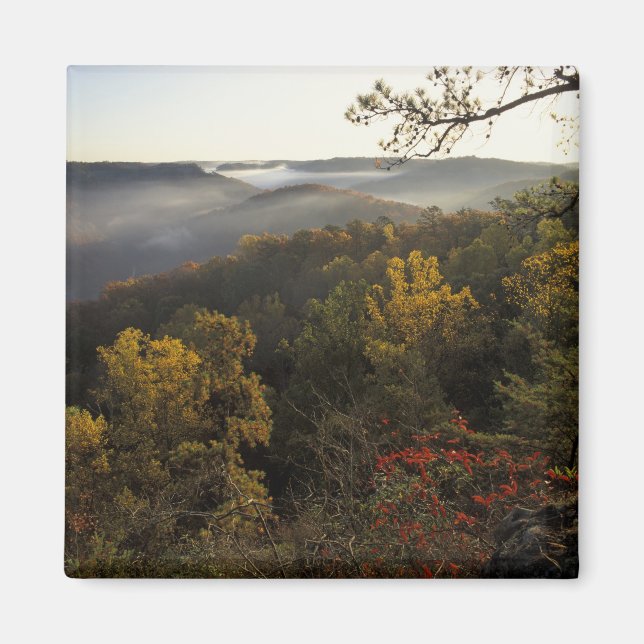 Imã EUA, Kentucky. Floresta Nacional Daniel Boone. (Frente)