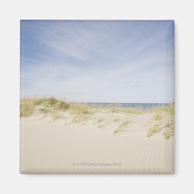 Imã EUA, Massachusetts, Cape Cod, Nantucket, Sandy (Frente)