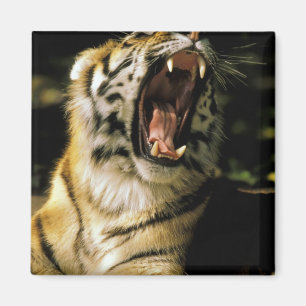 Imã EUA, Michigan, Detroit. Jardim zoológico de