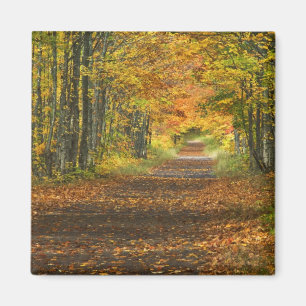 Imã EUA, Michigan, Península Superior. Estrada para