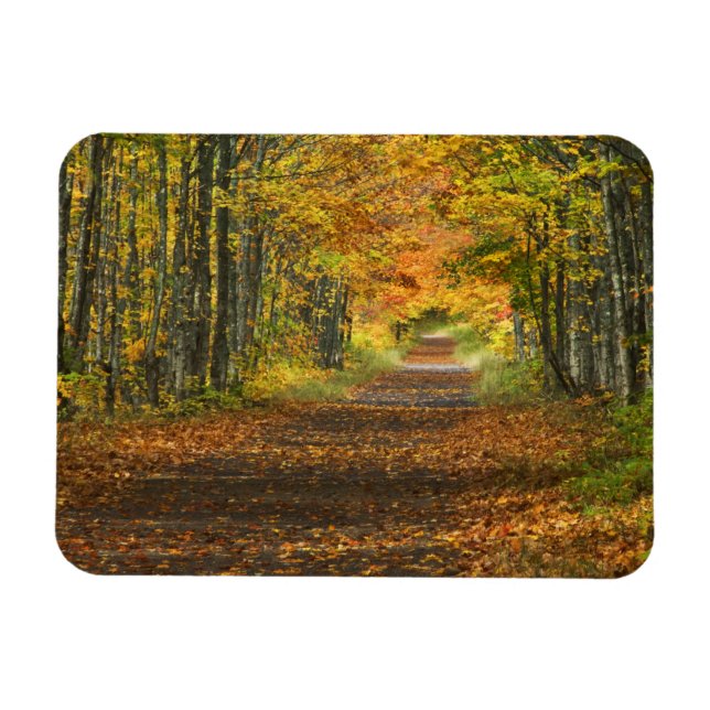 Ímã EUA, Michigan, Península Superior. Estrada para (Horizontal)