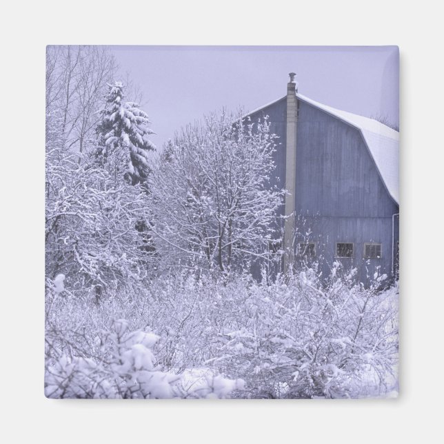 Imã EUA, Michigan, Rochester Colinas. Azul nevado (Frente)