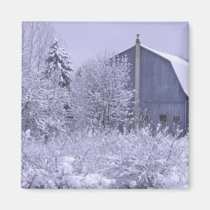 Imã EUA, Michigan, Rochester Hills. Azul nevado