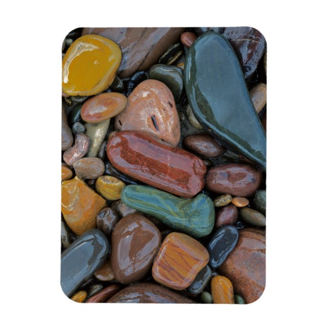 Ímã EUA, Montana, Clark Fork River, Stones (Vertical)