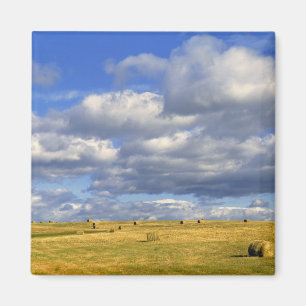 Imã EUA, Nebraska, Morrill County. Ouro