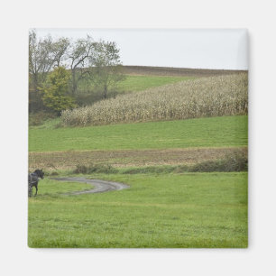 Imã EUA, nordeste de Ohio. Bugue Amish em fazenda