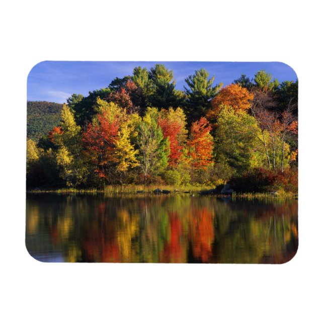 Ímã EUA, Nova Hampshire, Moultonborough. Árvores em (Horizontal)