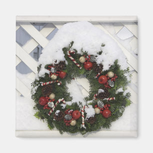 Imã EUA, Nova Inglaterra, Massachusetts, leitura,