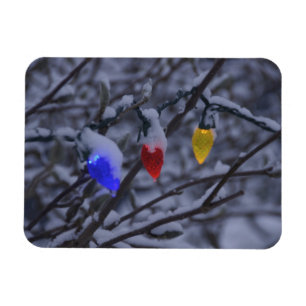 Ímã EUA, Nova Inglaterra, Massachusetts, leitura, 2