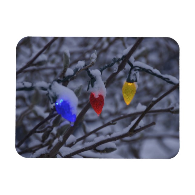 Ímã EUA, Nova Inglaterra, Massachusetts, Reading, 2 (Horizontal)