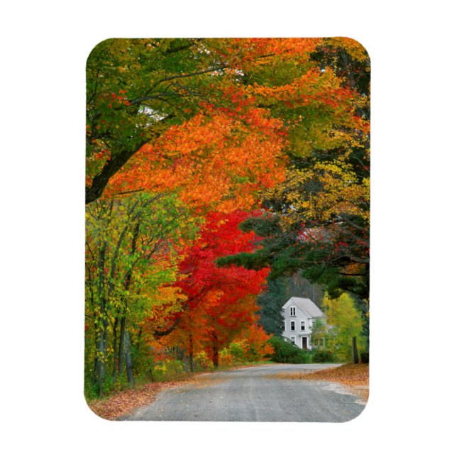 Ímã EUA, Nova Inglaterra, New Hampshire, Andover (Vertical)