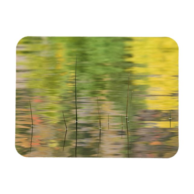 Ímã EUA, Nova Iorque, Adirondacks, Reflexões na água (Horizontal)