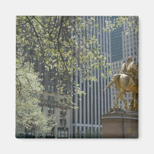 Imã EUA, Nova York, Cidade de Nova York, Manhattan: 16