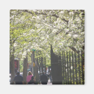 Imã EUA, Nova York, Cidade de Nova York, Manhattan: 8