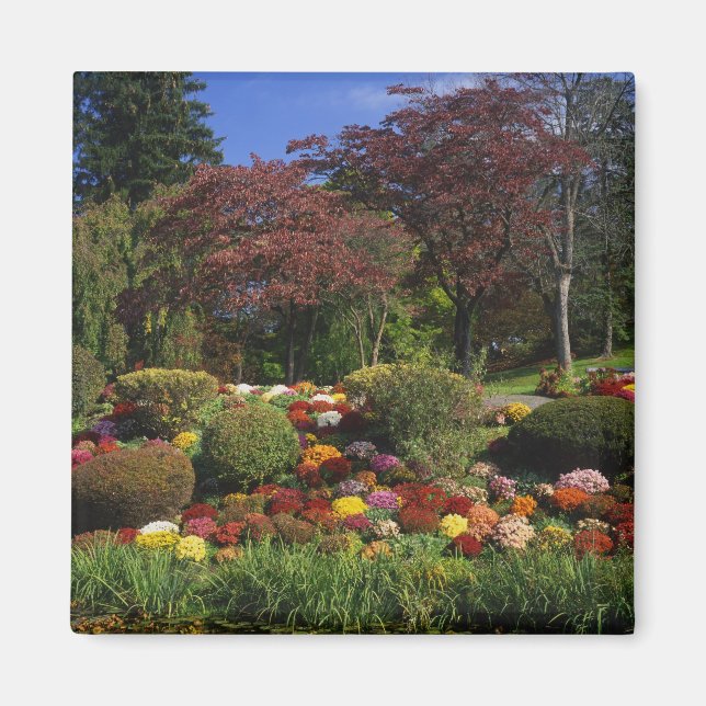 Imã EUA, Nova York, Saugerties, Seamon Park. Outono (Frente)