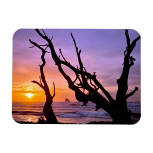 Ímã EUA, Oregon, Cape Meares. Pôr do sol