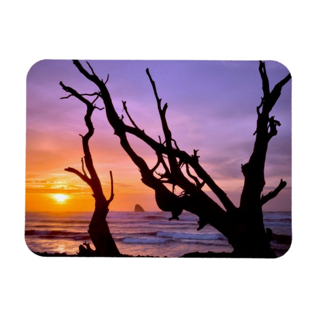 Ímã EUA, Oregon, Cape Meares. Pôr do sol (Horizontal)