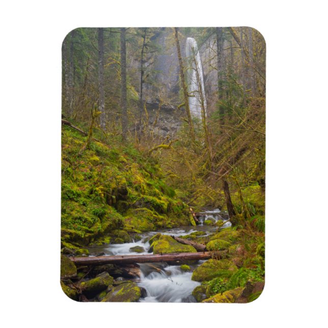 Ímã EUA, Oregon, Columbia Gorge (Vertical)