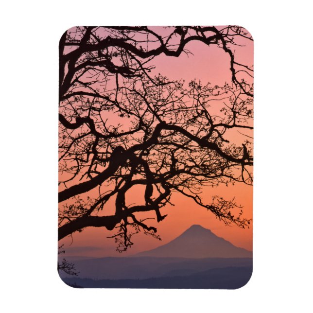 Ímã EUA, Oregon, Columbia River Gorge Nacional 2 (Vertical)