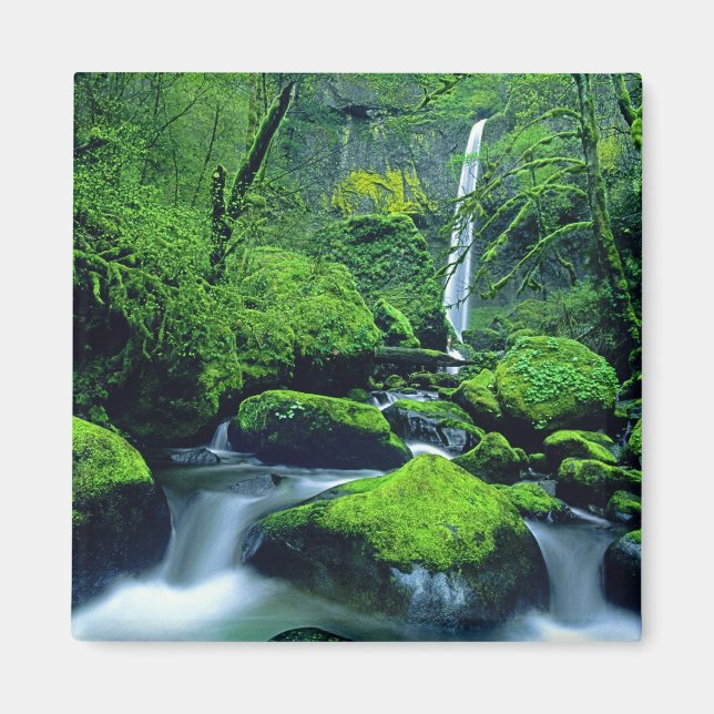 Imã EUA, Oregon, Columbia River Gorge National 2 (Frente)