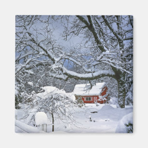 Imã EUA, Oregon, Condado de Clackamas. Neve fresca