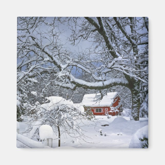 Imã EUA, Oregon, Condado de Clackamas. Neve fresca (Frente)