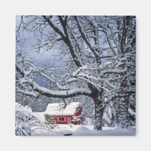 Imã EUA, Oregon, Condado de Clackamas. Neve fresca cob