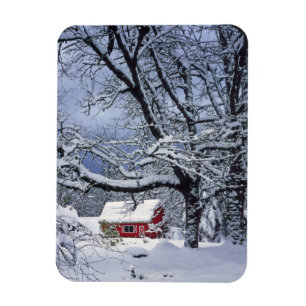 Ímã EUA, Oregon, Condado de Clackamas. Neve fresca cob