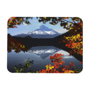 Ímã EUA, Oregon, Floresta Nacional de Mt. Hood.