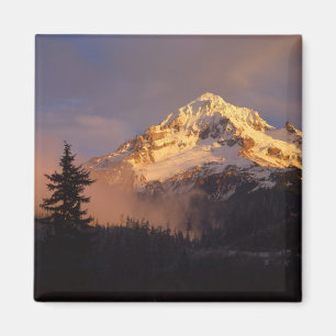Imã EUA, Oregon, Floresta Nacional de Mt. Hood. Ondula